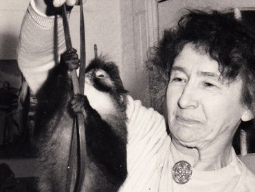 Miramar natuurmuseum - het aapje Kabouter