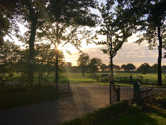 "De vader van de familie in Ruinerwold moet hoe dan ook vervolgd worden."