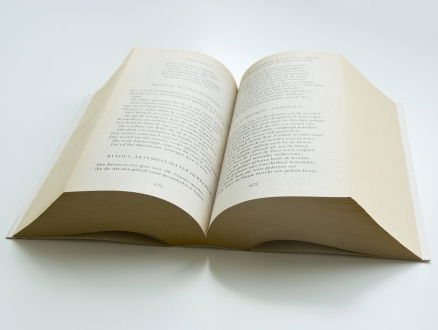 Waarom leent de Nederlandse taal zich voor poëzie?