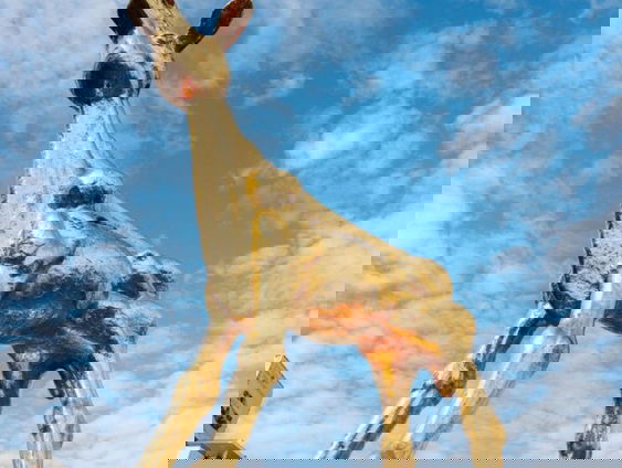 Gouden Kalveren winnaars