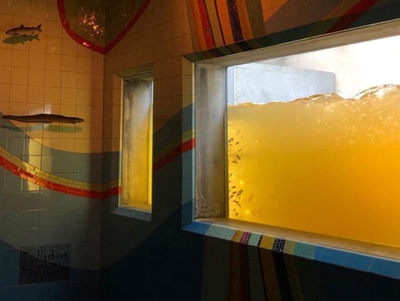 Vistrap bij Doesburg