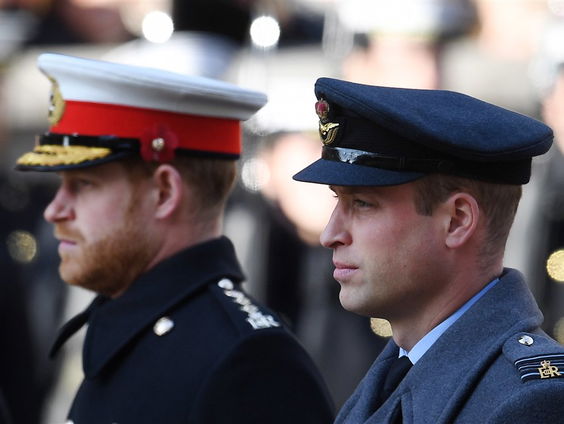 Lia van Bekhoven over het boek ‘Battle of the Brothers’