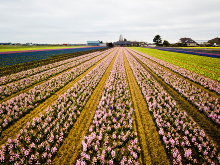 Warm weer: achterstand in natuur weer ingehaald