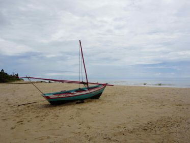 Havenbedrijf Rotterdam in Brazilië