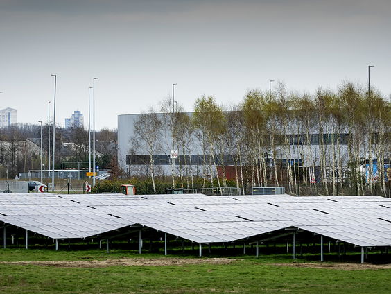 Zonneparken: slecht voor het landschap, of natuurherstel?