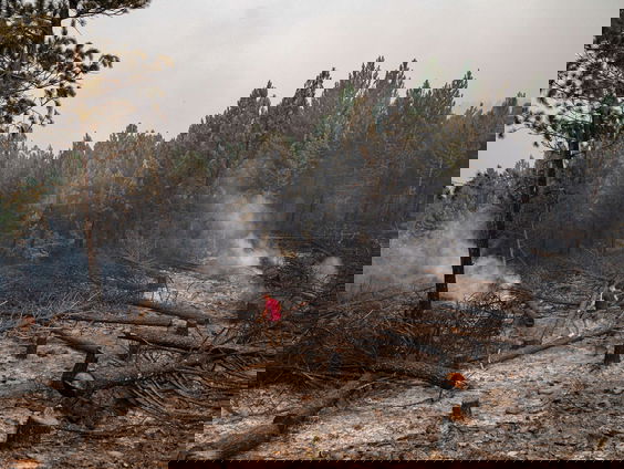 Hulp vanuit Nederland voor slachtoffers bosbranden Turkije