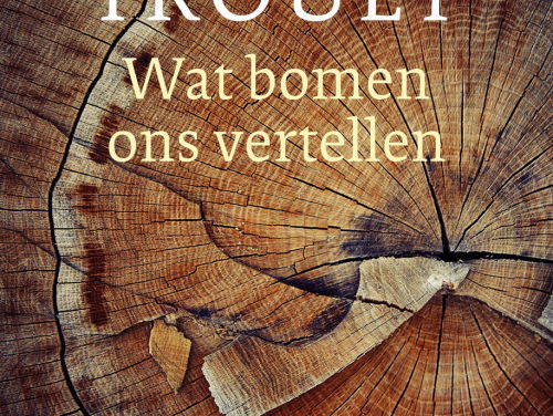Valerie Trouet over Wat bomen ons vertellen