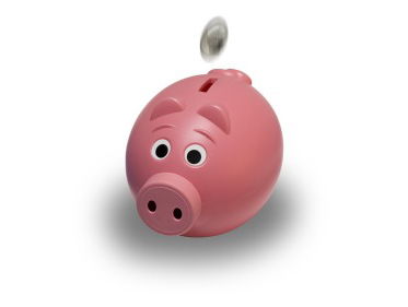 Kamer debatteert over spaartaks