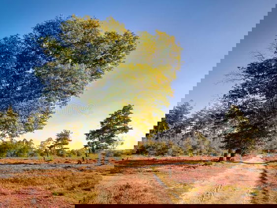 Door stilte stilstaan bij de dood