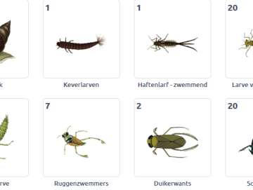 Waterdiertjes vangen voor de wetenschap