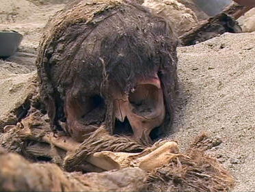 Waarom zou je 140 kinderen offeren?