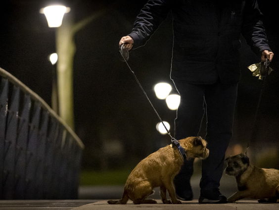 Nieuwsforum over avondklok, inauguratie Biden en toeslagendebat