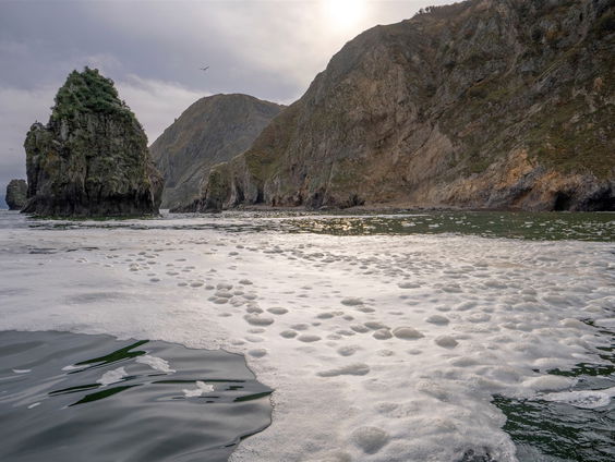 Democratisch lichtpuntje na ecologische ramp in Kamtsjatka