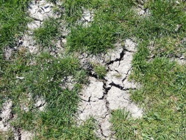 Hoe beheersen we de droogte in Nederland?