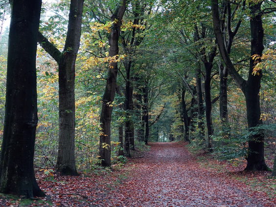 Al 30 jaar natuurbeheer, maar nauwelijks verbetering merkbaar