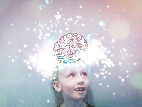 "Emoties zijn net kleuters, ze krijsen net zo lang tot ze aandacht krijgen"