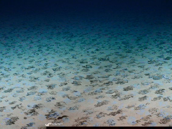 Wat is het effect van diepzeemijnbouw?