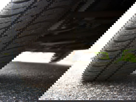 Boswachter Arjan Postma waarschuwt voor het grootste roofdier van Europa: de auto