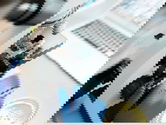 Zorgen om superschimmel candida auris