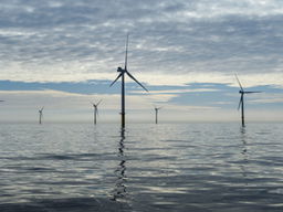 'Staat vecht alles aan in hoger beroep klimaatzaak'