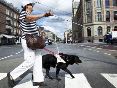 Blinden weer laten zien? Tom van Nunen doet er onderzoek naar