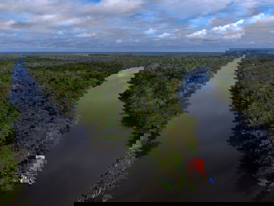 President Bolsonaro ondertekende het akkoord voor de stop van ontbossing: wat betekent zijn handtekening voor de Amazone?