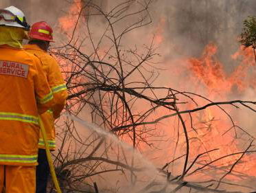 Bioloog Werner de Gier over de positieve kant van de bosbranden