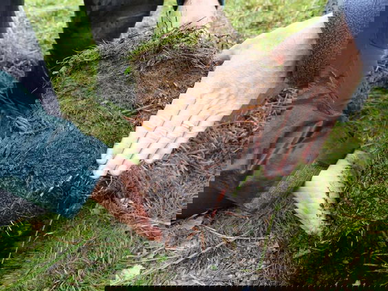 Koop turf-vrije potgrond!