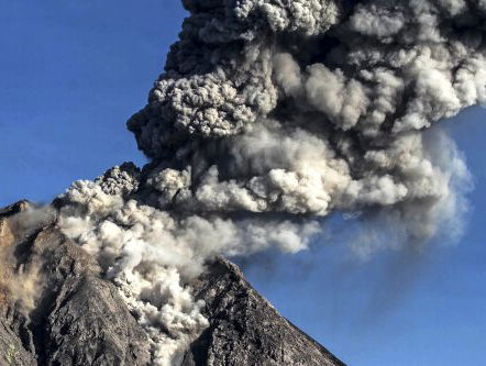 Reden voor grootste uitsterfgolf ooit gevonden