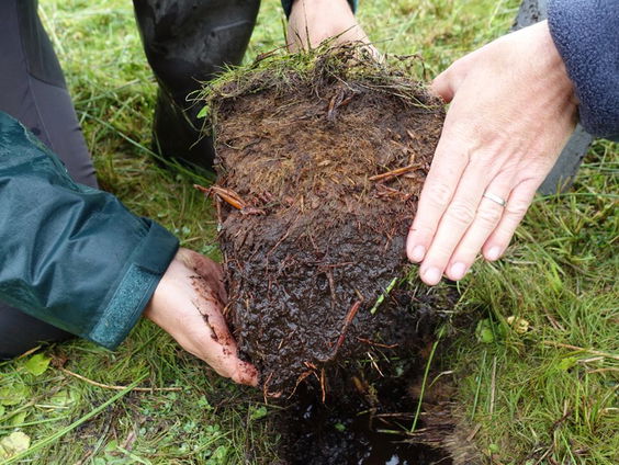 Bodemdaling wordt bodemgroei
