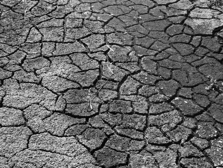 Cholera uitbraak in Jemen