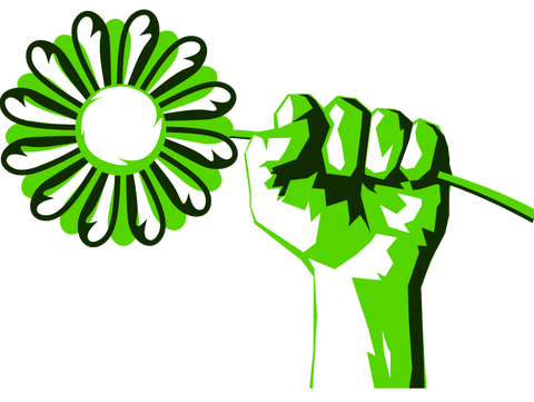 Feit of Fictie: Is groene stroom uit het buitenland echt alleen op papier groen?