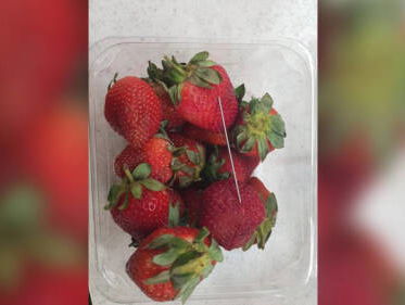 100.000 euro beloning uitgeloofd om aardbeiensaboteur te vinden