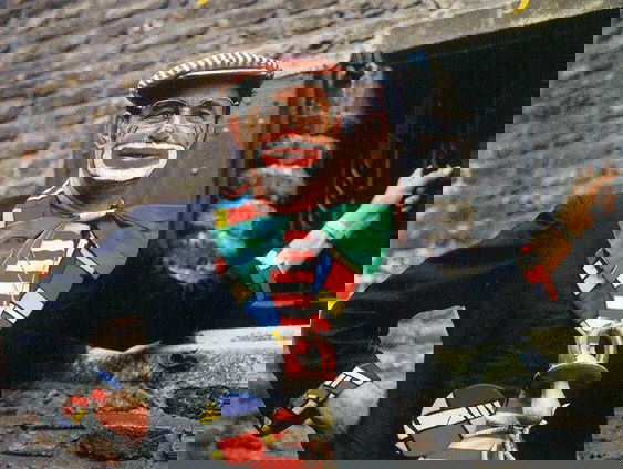 Wie is de grootste Nijmegenaar?