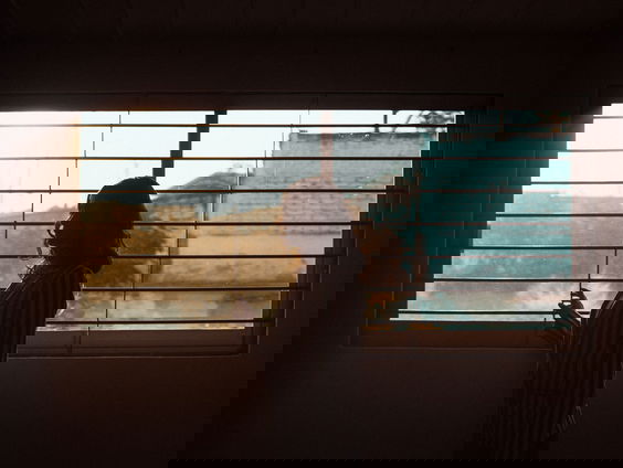 Ester Wijnen: Ik wil het beeld van partnergeweld doorbreken