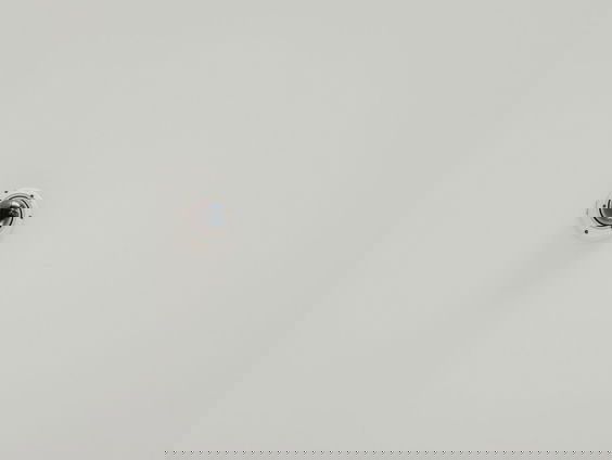 Kritiek en discussie over slimme camera's Universiteit Leiden