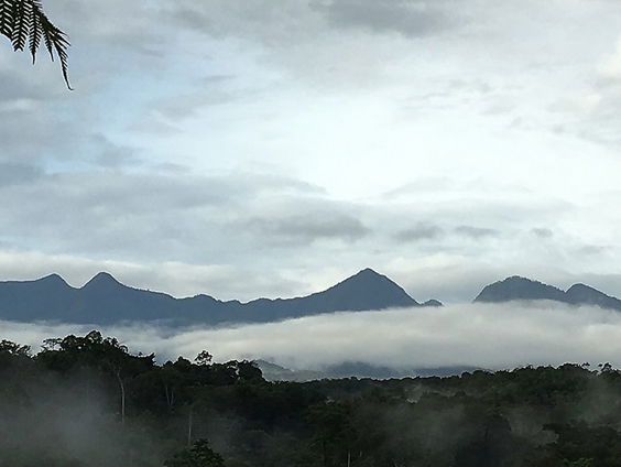 De nieuwe generatie over de Papoea gemeenschap