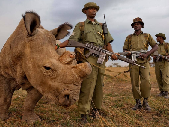 CSI in Zuid-Afrika. Opening academie voor forensisch onderzoek in de strijd tegen stroperij.