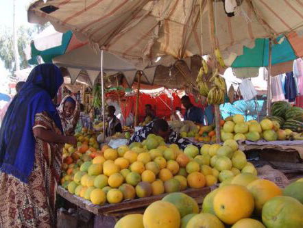 Somalië: land van mogelijkheden