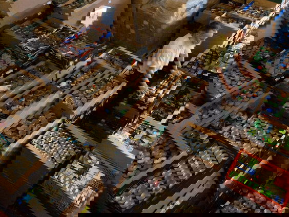 Hoe gaan andere landen om met ondervoeding?