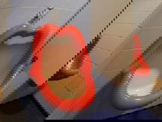 Het Bromvliegeffect: de gedragsbeïnvloeding van ons luie brein