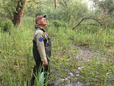 Broedvogels op de Dode Hond