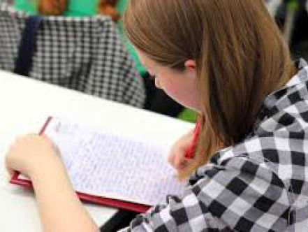 De Zomerschool Groot Dictee Thuistraining