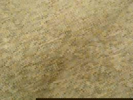 India overweegt export van rijst te beperken