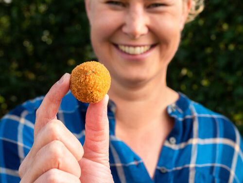 Het recept van de Bitterbalkoningin de Bitterbal Hawaï