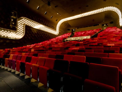 Stand.nl: Het kabinet moet nu alles op alles zetten om de culturele sector te redden