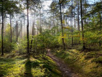 Natuurgast: Hanne Tersmette