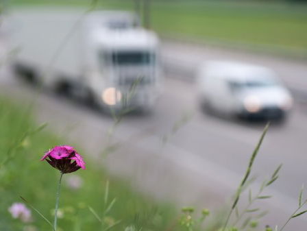 Rechter bepaalt: lucht moet schoner. Maar tegen welke prijs?