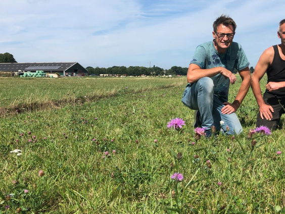 Meer 'omega-3' in melk uit kruidenrijke wei
