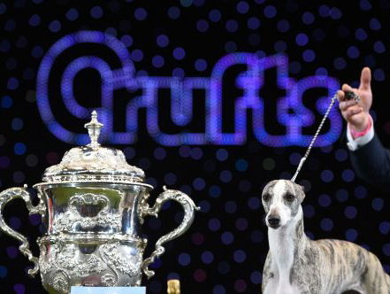 Wat heeft fokken ons gebracht?